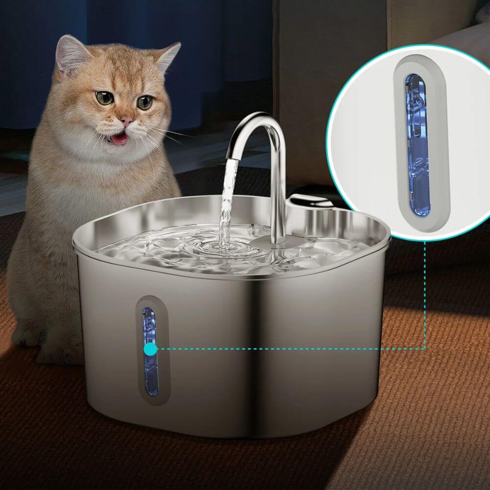 Fontaine à Eau pour Chat Automatique en Acier Inoxydable - 2,2L