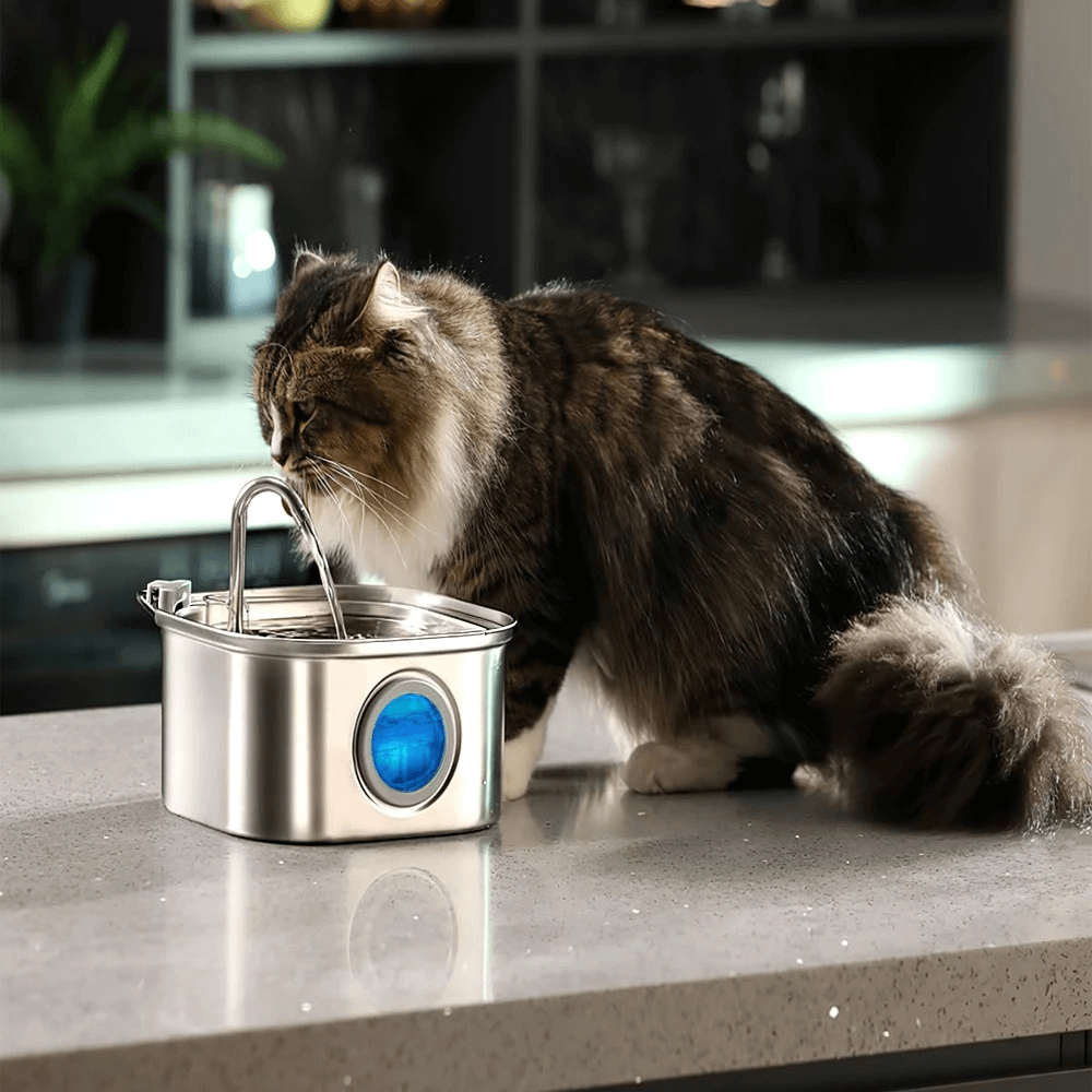 Fontaine à Eau pour Chat Automatique en Acier Inoxydable- 3,2L