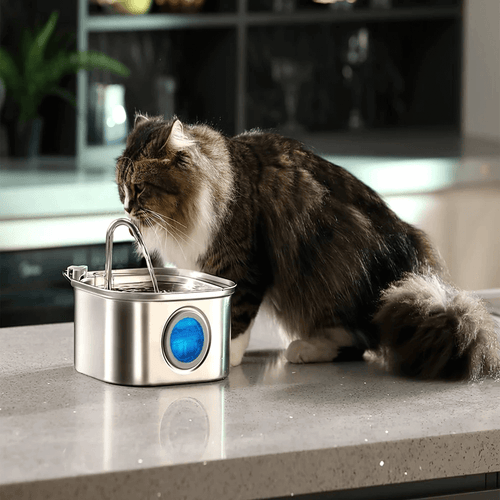 Fontaine à Eau pour Chat Automatique en Acier Inoxydable- 3,2L