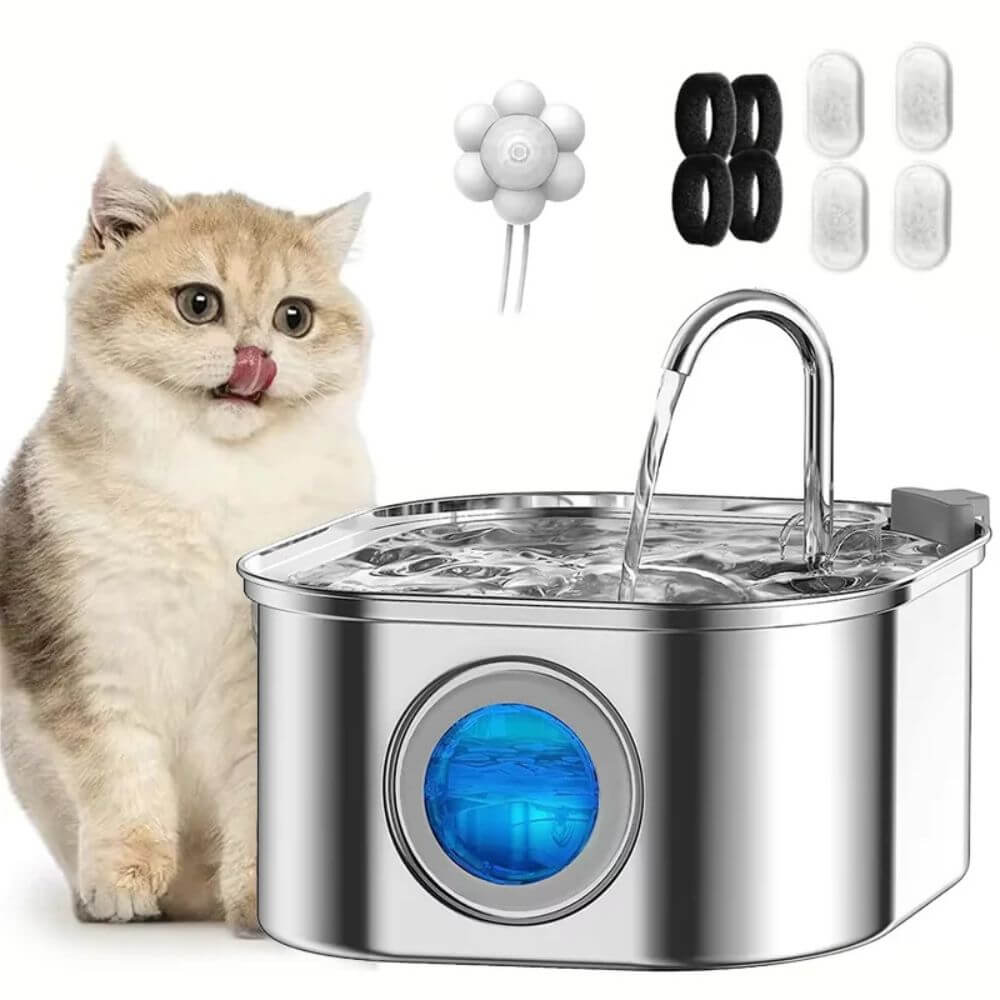 Fontaine à Eau pour Chat Automatique en Acier Inoxydable- 3,2L