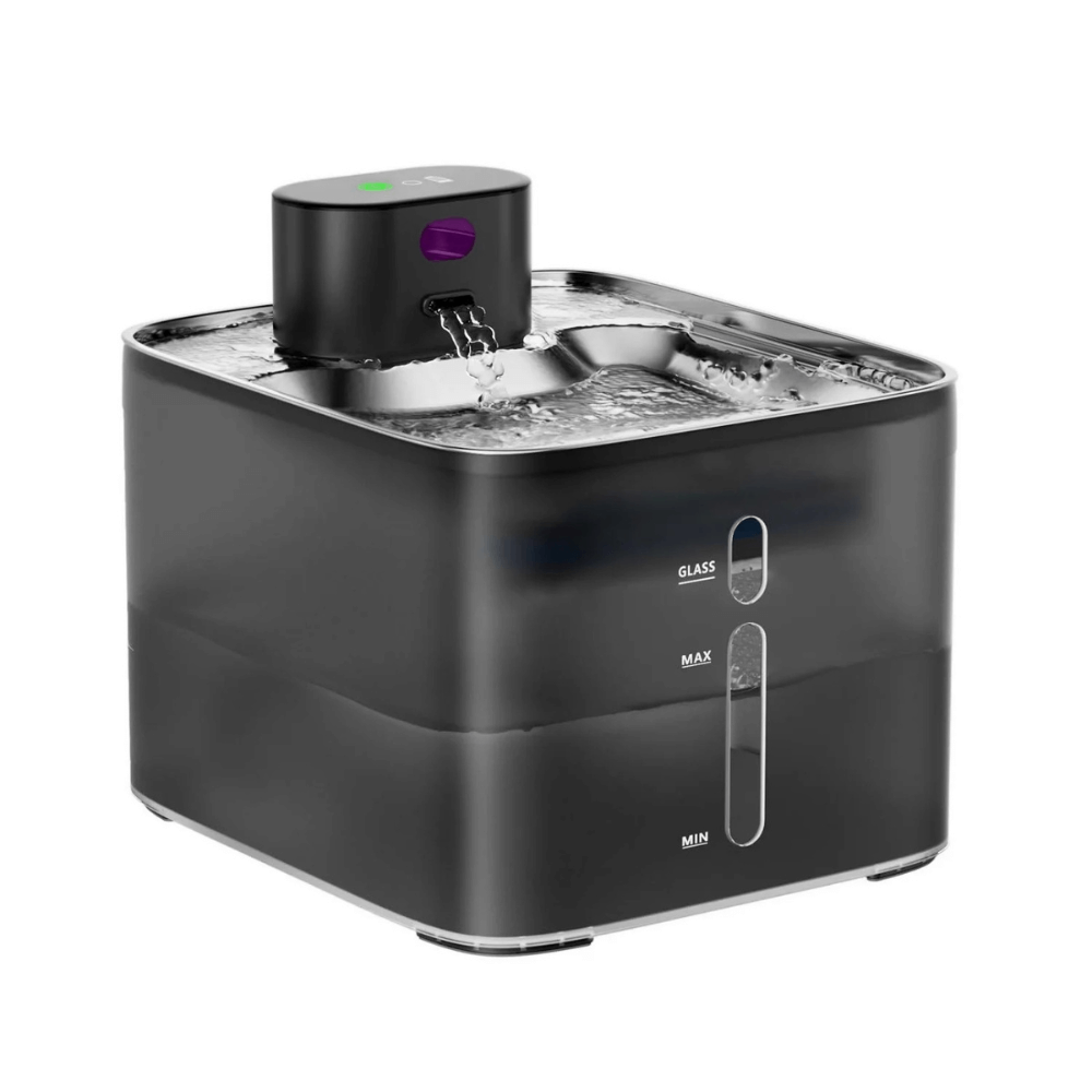 Fontaine à Eau pour Chat Sans Fil - Batterie Rechargeable (4,2L)