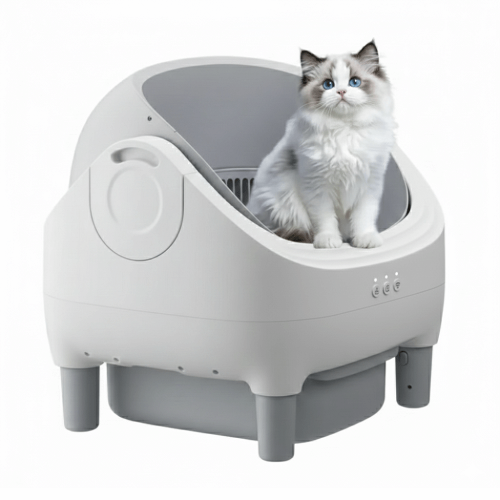 Litière Automatique Ouverte pour Chat